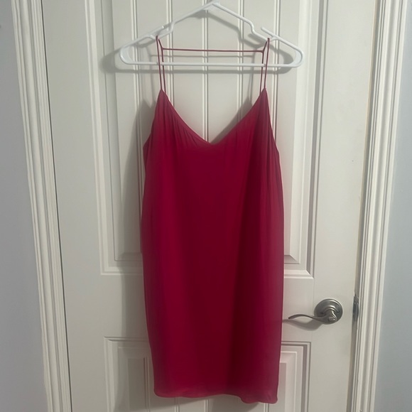 Naked Zebra Pink Slip Dress - Picture 1 of 4